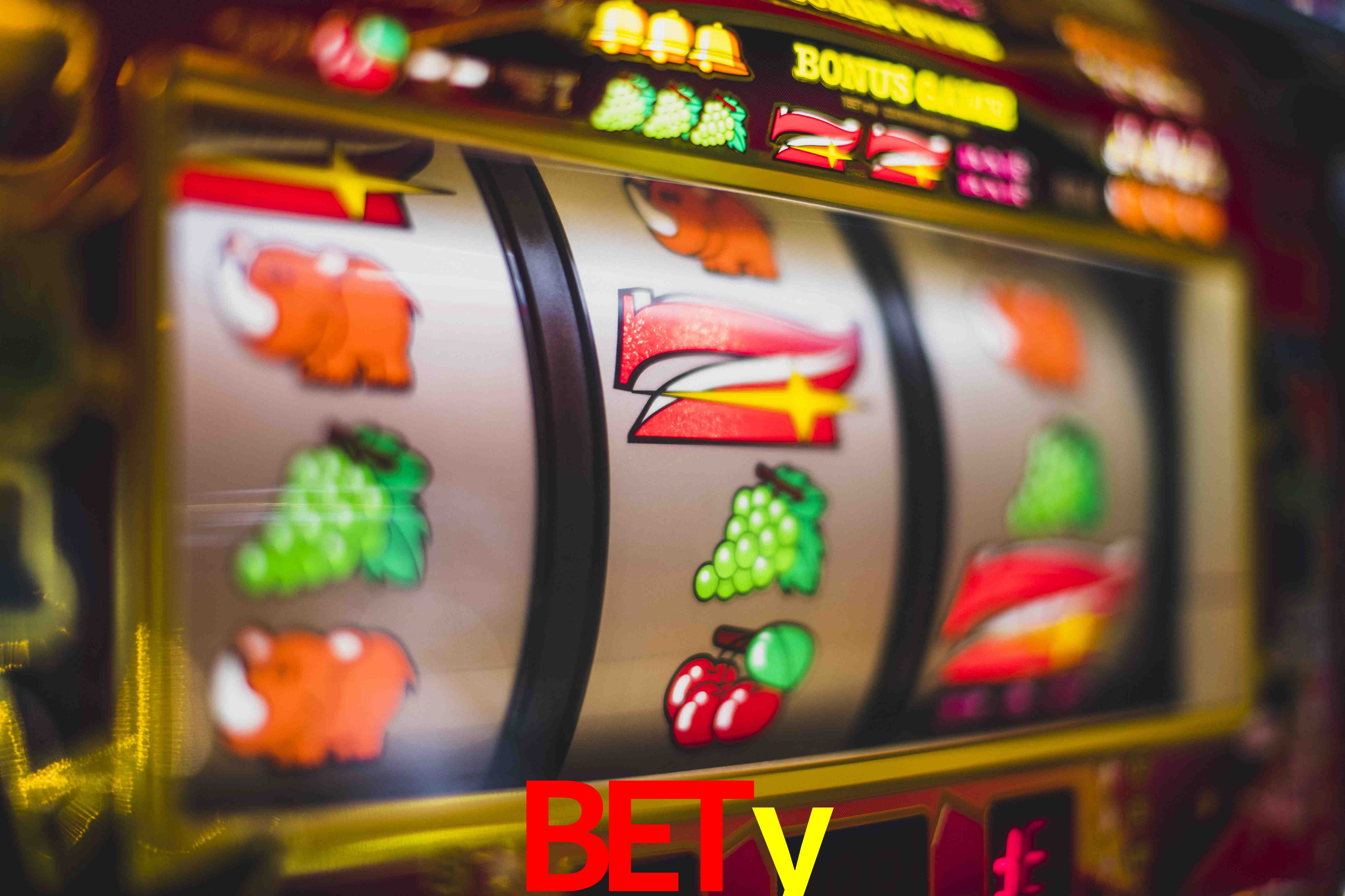 Basketball Betting bety